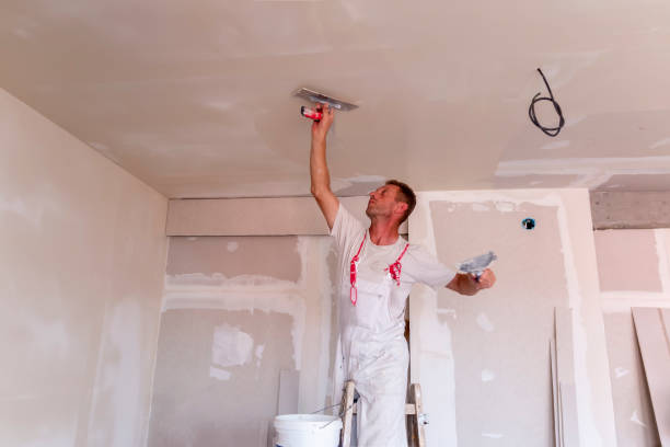 Best Eco-Friendly and Low-VOC Painting  in Crested Butte, CO